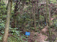 -千岛湖东南湖区
