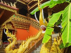 -西双版纳总佛寺
