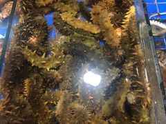 -皇朝海鲜酒店