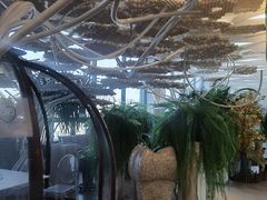 -哈尔滨圣安口腔专科医院