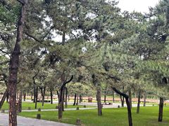 -承德避暑山庄景区