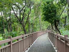 -广东花都湖国家湿地公园