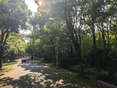 -上海海湾国家森林公园