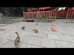 -四门塔风景区