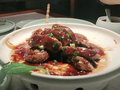 顺德碌鸭-大榕树下顺德菜(融创茂店)
