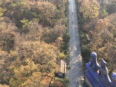 -灵谷景区