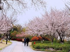 -相门城墙文化休闲景区