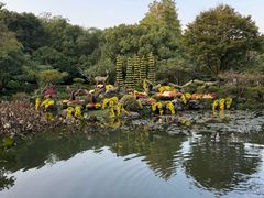 -杭州植物园