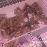 来买麻辣鸡都是现称现拌，干净卫生的食材