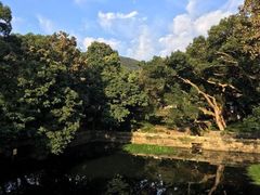 -普陀山风景名胜区-法雨禅寺