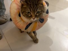 -平行世界·猫咖(首经贸店)