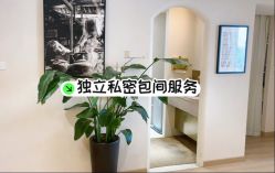 -乐绅男士高端假发定制