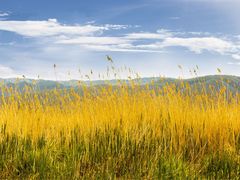 洛洼码头-洛洼北码头