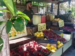 -The Grounds of Alexandria