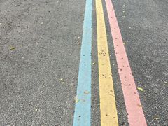 -同里国家湿地公园