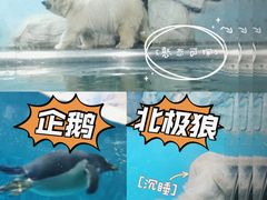 -泉城欧乐堡水上世界