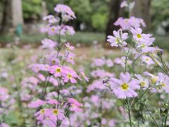 -昆明滇池国家级风景名胜区西山景区