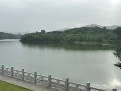 -佛手湖郊野公园