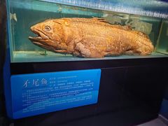 -国家自然博物馆