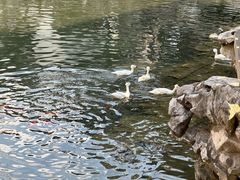 -老城隍庙食品商店(豫园商城店)