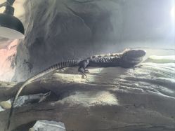 -Zoolung Zoolung动物主题公园(海信广场店)