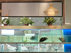 水产区-笨笨甲甲鱼坊(蓝堡湾店)