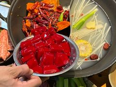 -阳阳老火锅(小南门店)