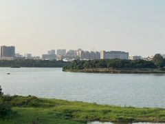 -立新湖公园
