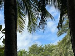 -海南清水湾莱佛士酒店