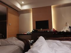 -河源万绿湖美思威尔顿酒店