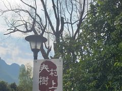 -村上春树