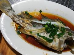 清蒸白花鱼-海上驿站渔家菜馆