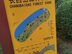 -长白岛森林公园