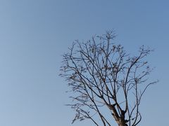-福神岗公园