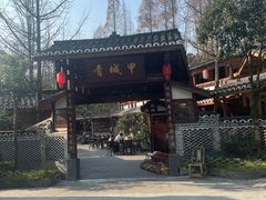 -青城甲(青城山店)