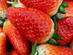 -堤口果品批发市场