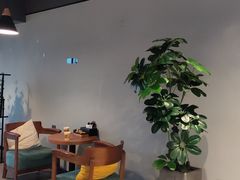 -梵猫·新养生(湛江鼎盛店)