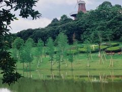 -东莞植物园