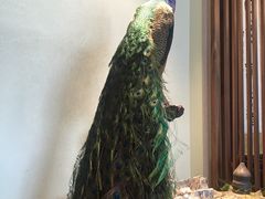 -庄隐阁(悠方广场店)
