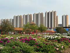 -曹州百花园