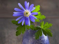 -李先生牛肉面大王(天津河东万达店)