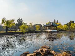 -无锡蠡湖国家湿地公园-蠡园