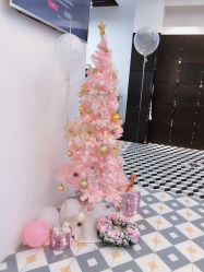 -ASA HAIR SALON