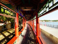 -蓬莱欧乐堡梦幻世界