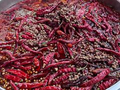 -鸿林老火锅(沙杨路店)