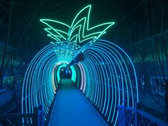 -南宫五洲植物乐园