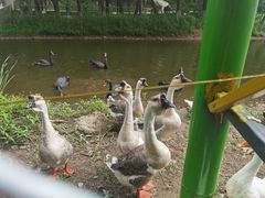 -长白岛森林公园