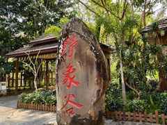 -野象谷景区