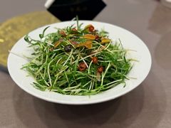 -丁老爷子苏香圆