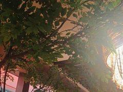 -老阿爸鲜鱼土菜(独墅湖店)